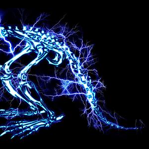 埃及猫黄化的视频
