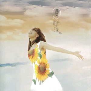 埃及猫黄化的视频
