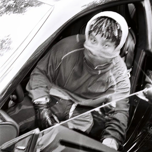 埃及猫黄化的视频
