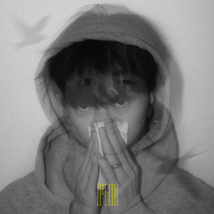 埃及猫黄化的视频
