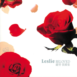 埃及猫黄化的视频
