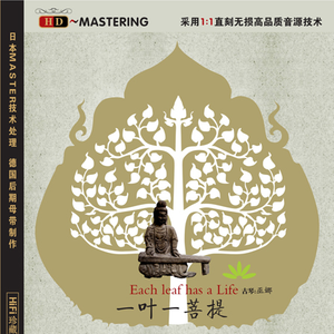 埃及猫黄化的视频
