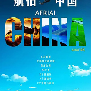 埃及猫黄化的视频
