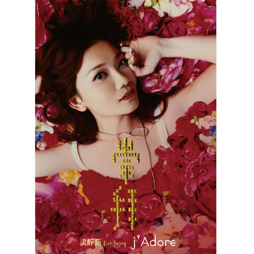 埃及猫黄化的视频
