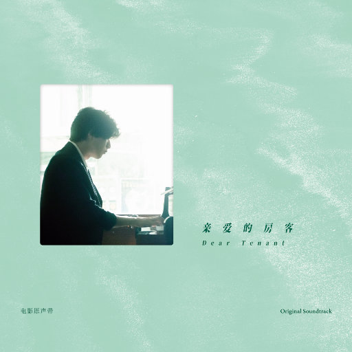 埃及猫黄化的视频
